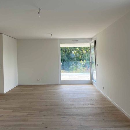 Appartements de 4 pièces neufs à Anières - Foto 4