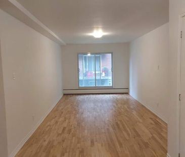 1 CH - 1 SDB - Laval - $1,250 /mo - Photo 1