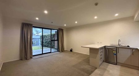 Modern Two Bedroom Apartment plus Garage - Photo 3