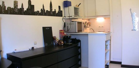 Appartement 1 pièce à Illkirch-Graffenstaden - Photo 2