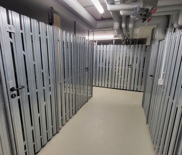 Exklusiv: Sanierte 3-Zi.-Wohnung mit Carport, Aufzug, Balkon & trau... - Foto 1