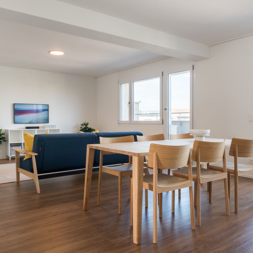 3.5 Zimmerwohnung - grosse Attikawohnung mit herrlicher Aussicht über Basel - Foto 1