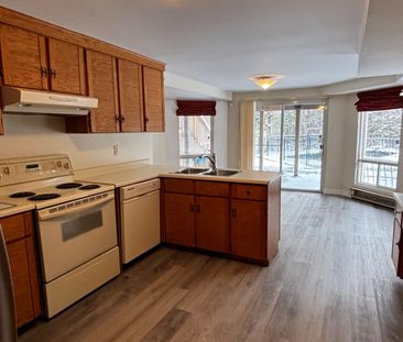 For Lease - 24 Cairns Drive Unit# Lower, Markham, Ontario - Photo 4