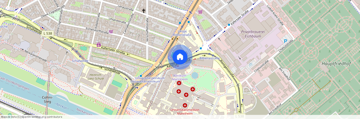 Käfertaler Strasse, 68167 Baden-Württemberg - Mannheim