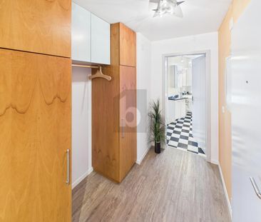 LARGE TERRACE, WITH STYLISH KITCHEN AND BATHROOM - Photo 5