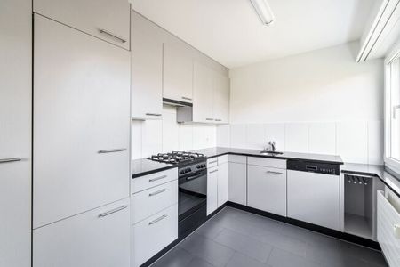 Quiet residential area in Muttenz - Photo 2