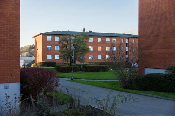 Pilegården 3E - Photo 1