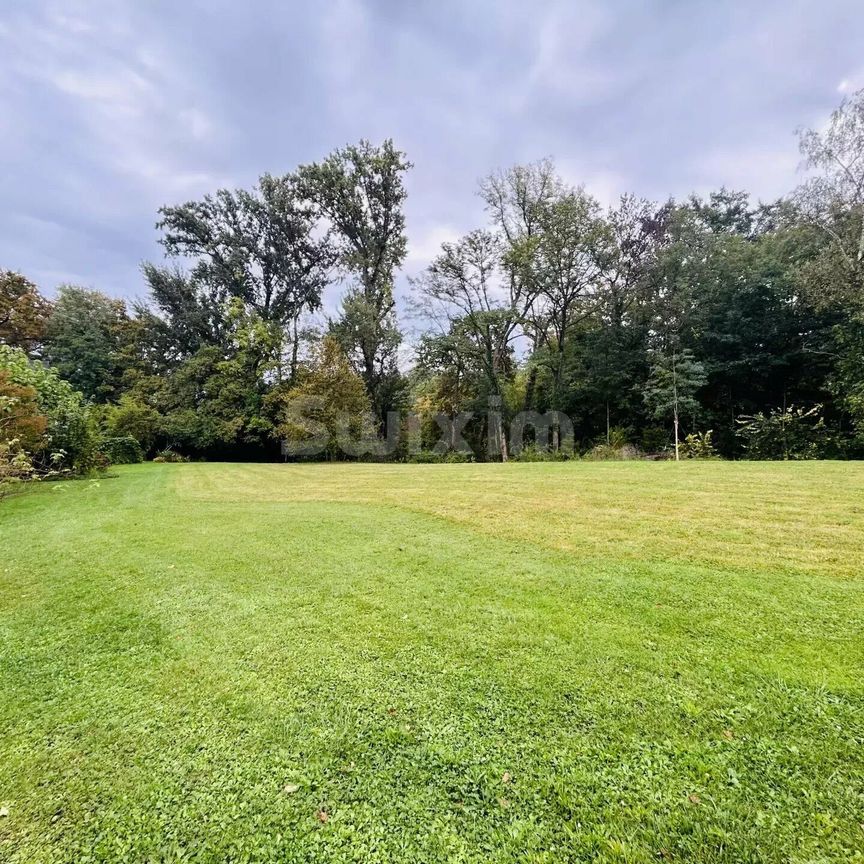 Charming Villa in Onex - 4 bedrooms - 2 terraces and wooded park - Photo 1