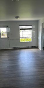 Minions 3 1/2 3 ième étage Ste-Anne des Plaines - Photo 3