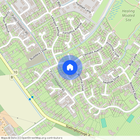 Wisteria Drive, Grimsby