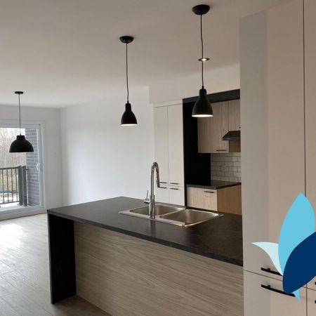 Logement 5 1/2 - wifi inclus - Novembre 2025 - Photo 4