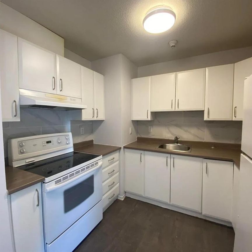 30 Rue De Matapédia (Gatineau) Très Bel Appartement De Deux Chambres. - Photo 1