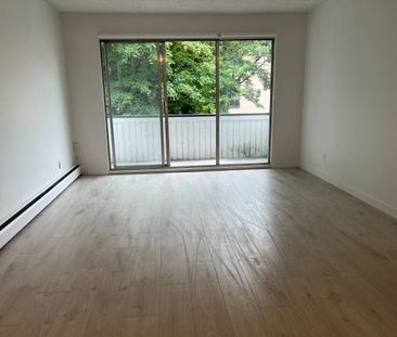 1BED 1BATH PET FRIENDLY SUITE - Photo 1