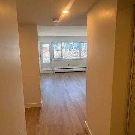 1 CH - 1 SDB - Montréal - $1,400 /mo - Photo 3