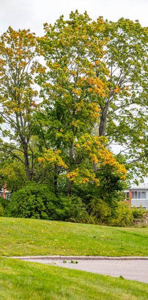 Fotbollsgatan 35, Ektorp - Foto 1