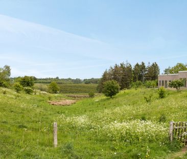 4 værelses rækkehus til leje i skønne Silkeborg - Foto 2