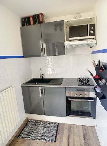 Location Appartement 1 pièce 25m² NICE 06300 - Photo 5