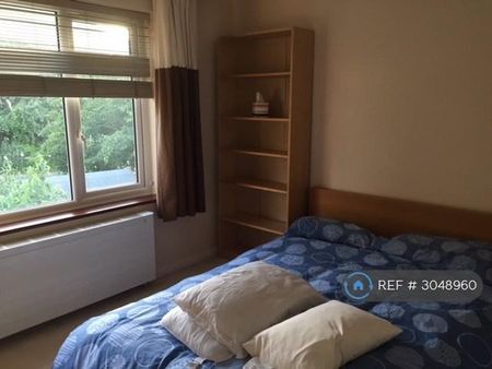 4 bedroom semi-detached house to rent - Photo 5
