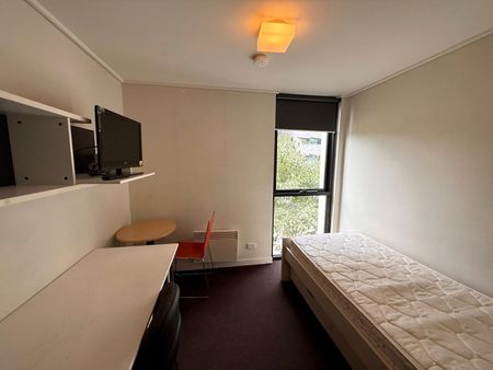 103/127 Leicester Street - Photo 5