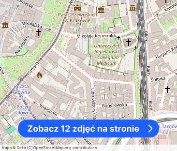 WYJĄTKOWE MIESZKANIE NA WYNAJEM, UL. ZYBLIKIEWICZA - Zdjęcie 1