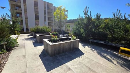 AT THE HEART OF NATURE - Photo 5