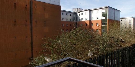 Studio Flat, Corporation Street, B4 - Photo 3
