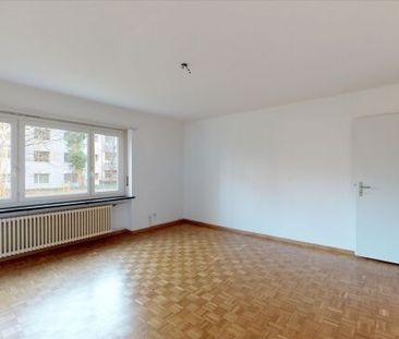 Living in the Ostring - Photo 3