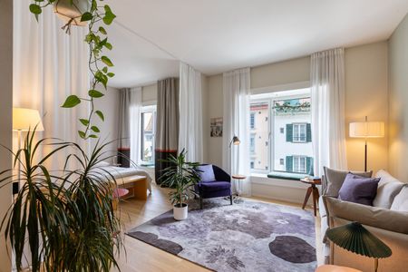 APPARTEMENT 11/2 PIÈCES À SCHAFFHOUSE, MEUBLÉ, TEMPORAIRE - Photo 3