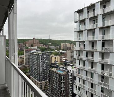 2320 Rue Tupper - Photo 5