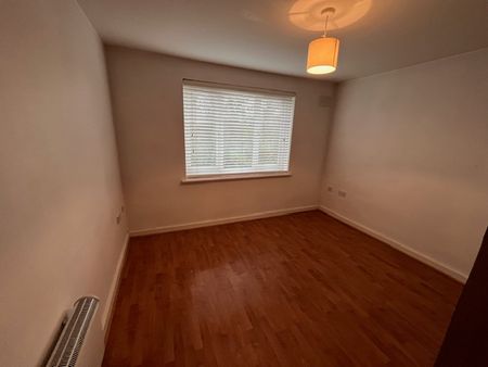 IVES HOUSE – ERCOLANI AVENUE - Photo 3