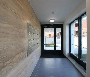 Pronájem bytu 1+kk, ulice Firkušného, Brno - lokalita Sadová, zahrádka - Fotografie 1