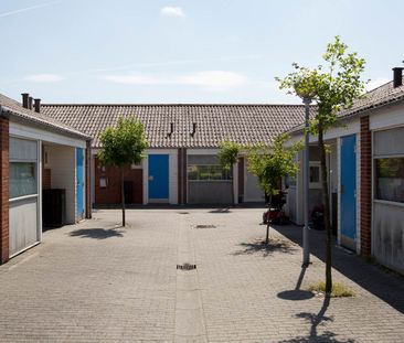 Hals - Photo 1