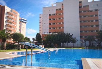 Apartment in Guardamar del Segura, PUERTO, for rent