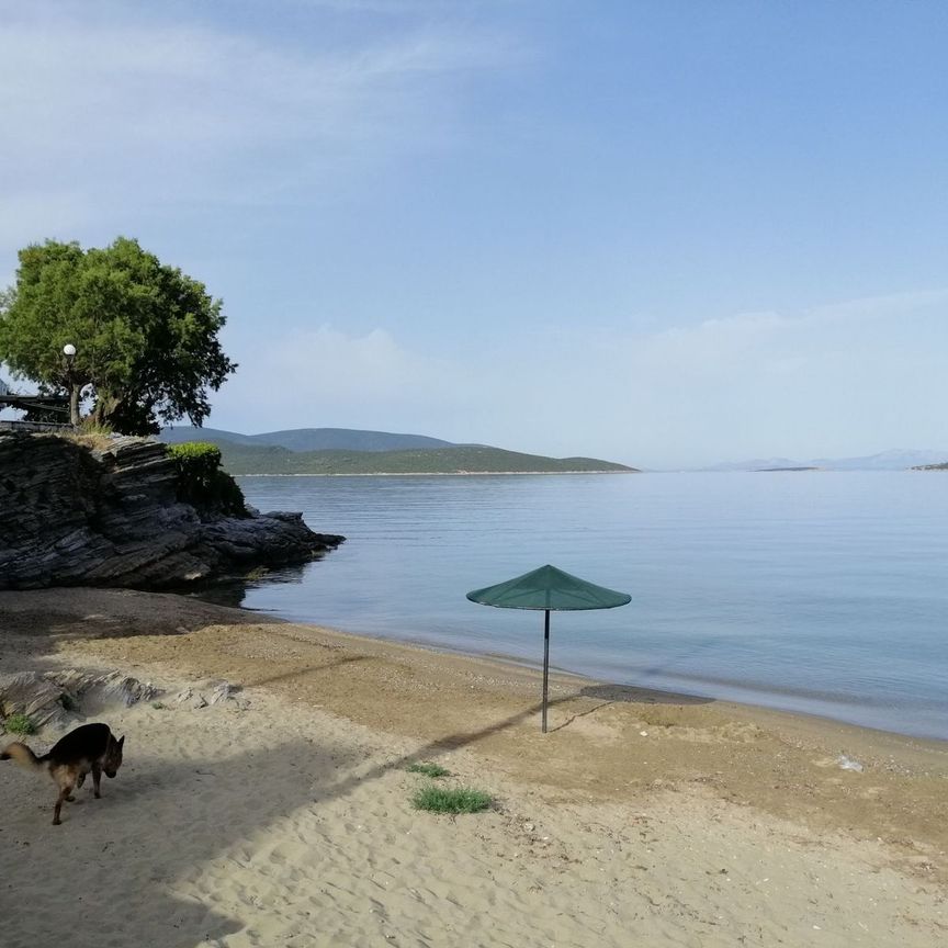 Διαμέρισμα για ενοικίαση Κέντρο (Μαρμάρι) - Photo 1