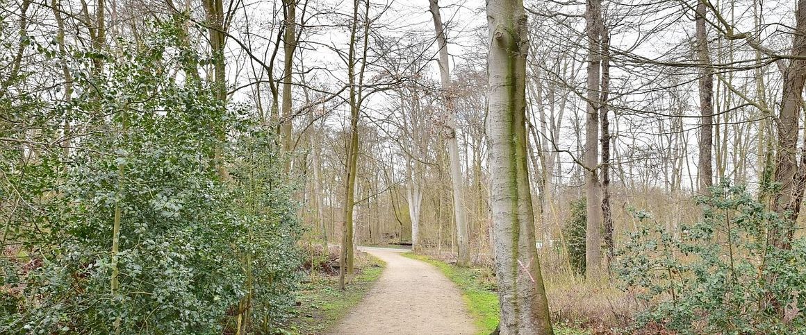 Stadtwald: Modernes Apartment in Toplage Lindenthal - Foto 1