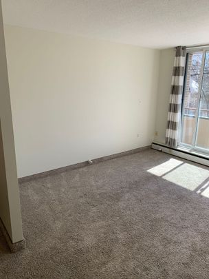 2 BDRM/1 BATH - 630 8TH ST E - Available DEC 1 - Photo 1