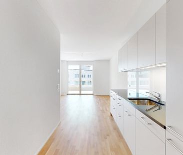 2.5 Zimmer, 48 m², 5. Stock - Photo 2