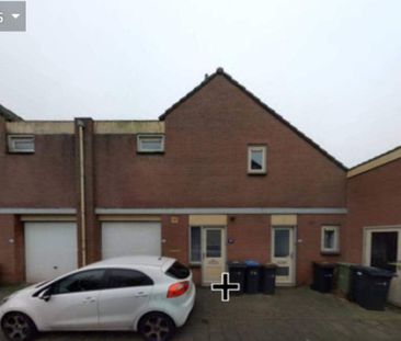 1-Chambre Appartement Wipmolen, Purmerend - À Louer - Photo 3