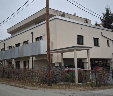 Traumhafte 2-Zimmer-Wohnung mit Terrasse, Garten und Carport - Photo 2