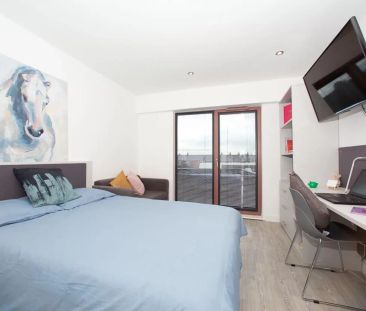 Bronze Plus Studio - Photo 4