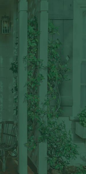 Cute & Cosy in the heart of the Hunter Valley! - Photo 2