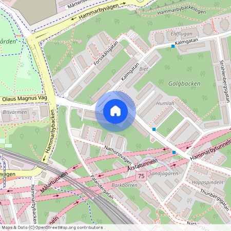 Olaus Magnus väg, Johanneshov