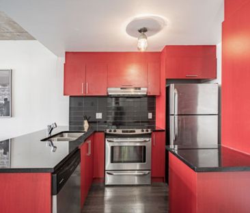 245 Rue Maguire, app.512, H2T 0A4, H2T 0A4, Montréal - Photo 3