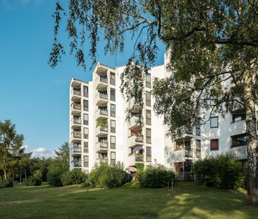 Gemütliche 3-Zimmer Wohnung - ab sofort! - Photo 2