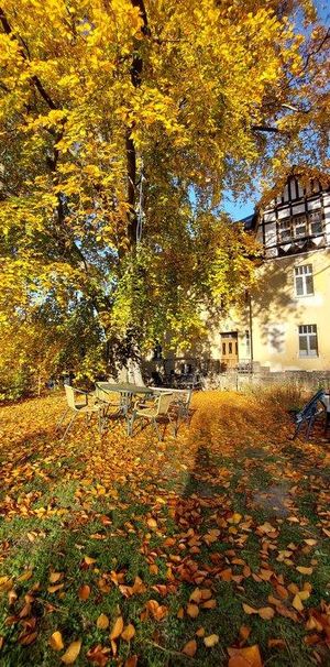 Wunderschöne historische sanierte 4 Raum Wohnung Werdau zu vermieten - Photo 1