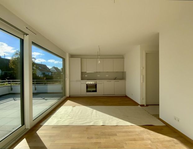2-Zimmer-Neubau mit EBK & Dachterrasse - Foto 1