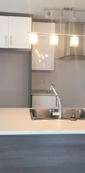 Très beau 4 1/2 à Louer/Lévis - Photo 1