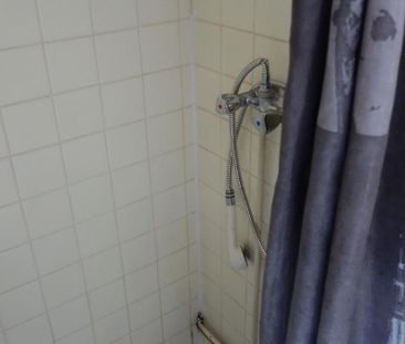 Location Appartement 1 pièce 18m² GRENOBLE 38000 - Photo 4