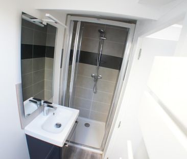 Location Appartement 1 pièce Meublé 17m² ANGERS 49100 - Photo 6