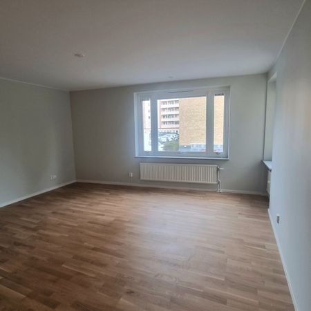 Skepparegatan 44 - Foto 3